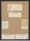 Triceratium areolatum Grev. (de-Toni-Nr.: Genus 140, Species 3818) Zeichnungen Sammlung Grunow Nr. 7316 (NHMW-BOT-W0376354)